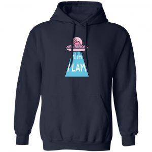 Flimflam Merch UFO Hoodie