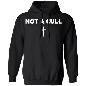 saint jhn merch not a cult black staff hoodie front and back view